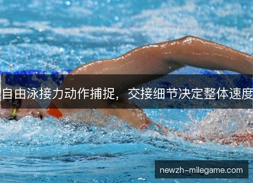 自由泳接力动作捕捉，交接细节决定整体速度